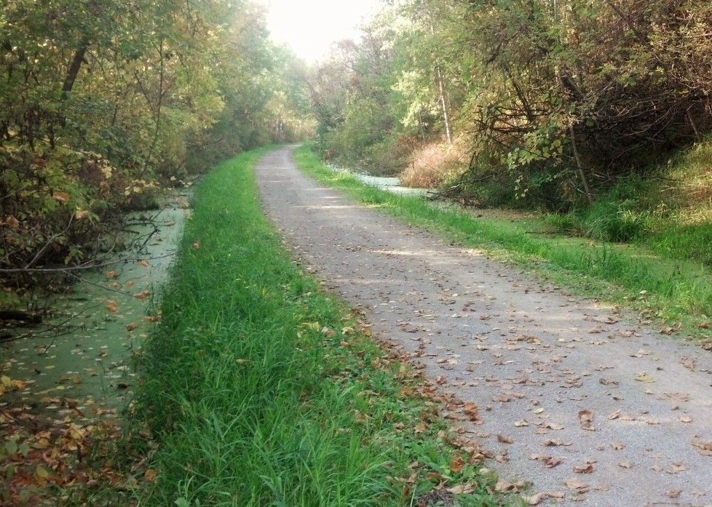 mt bay trail in howard