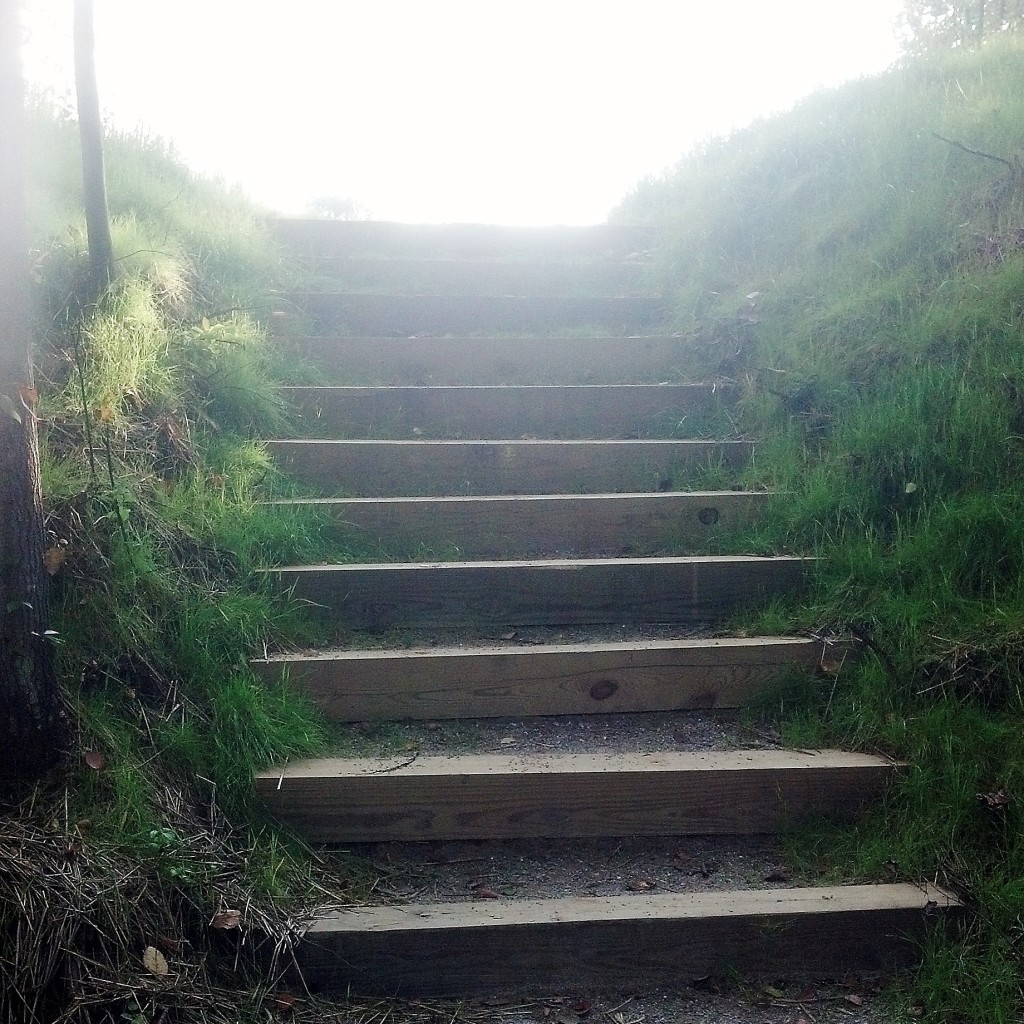 mt bay trail steps in howard