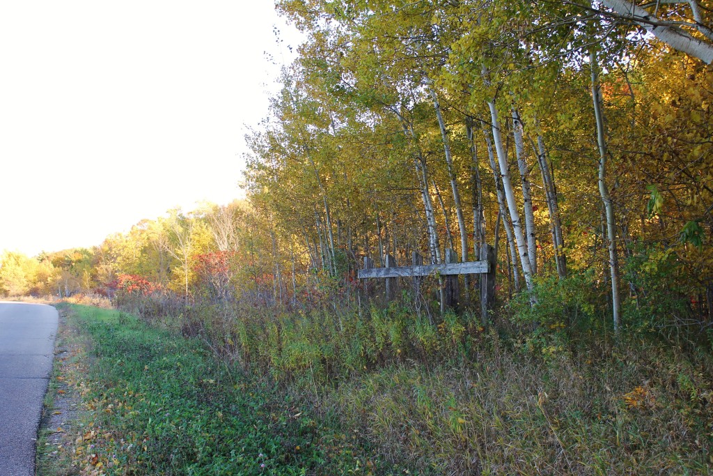 old bridge crossing roadside bonduel