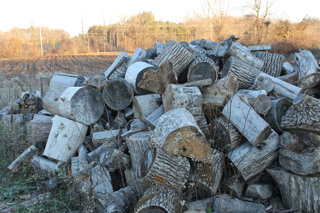 pile of logs waiting to be cute tables