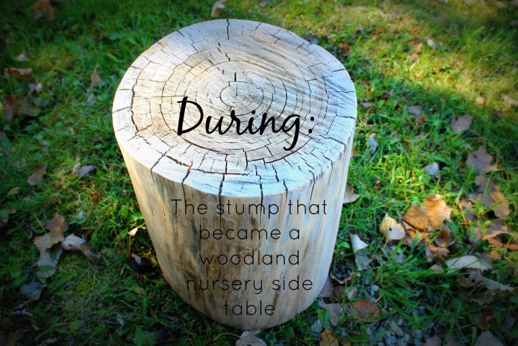 stump table during