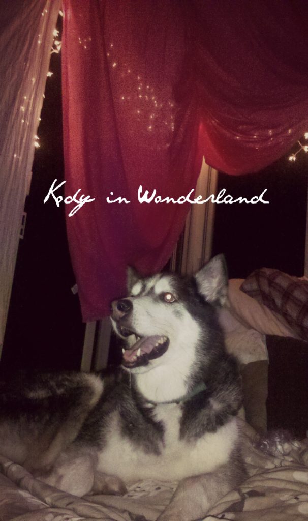 Kody in wonderland2