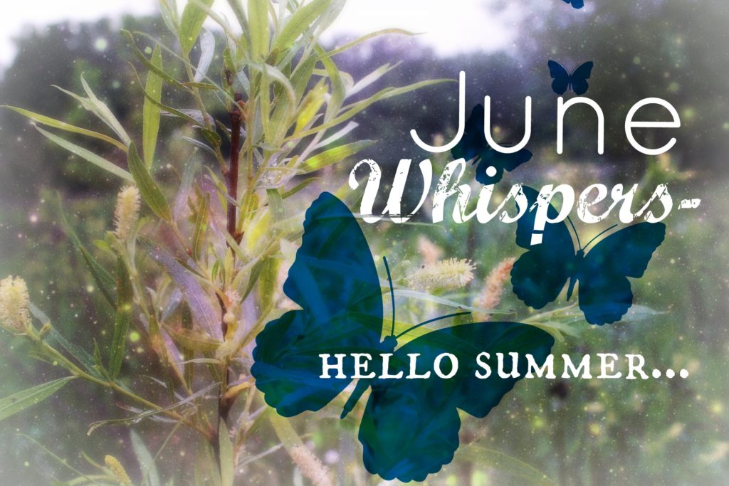 june whispers