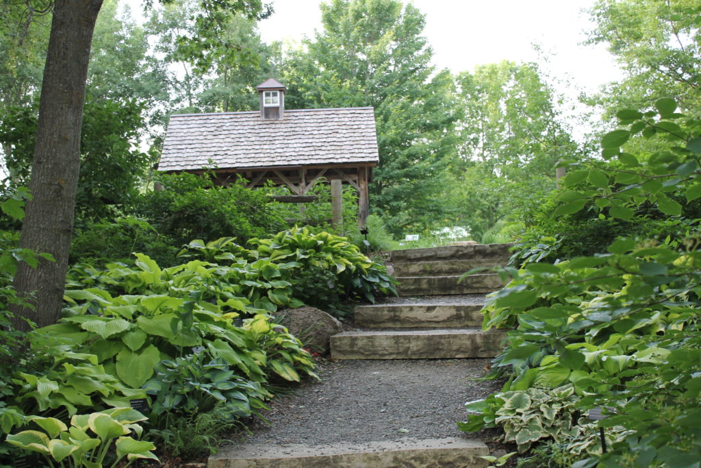 stairs to barn building with hostas GB botanical garden2015