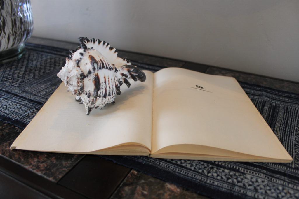 seashell as bookmark at mighty oak