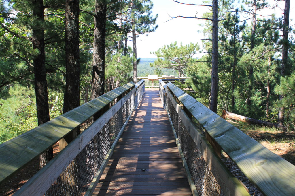 boardwalk-at-the-top-of-roche-a-cri-adams-county-wi