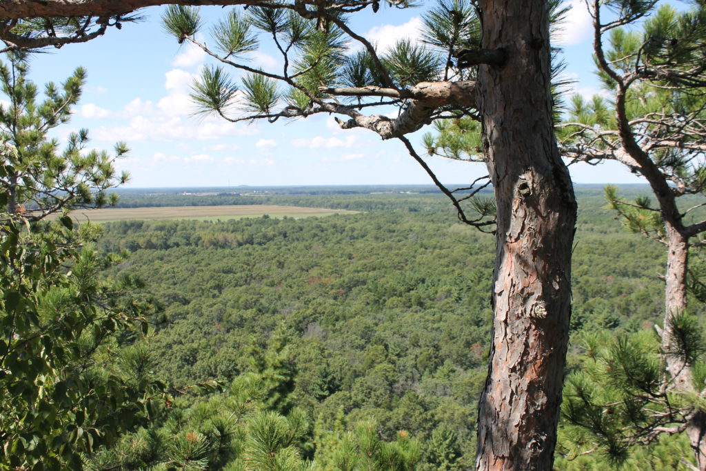 view-from-the-top-of-roche-a-cri