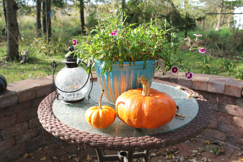 bistro-table-with-lantern-and-orange-pumpkins