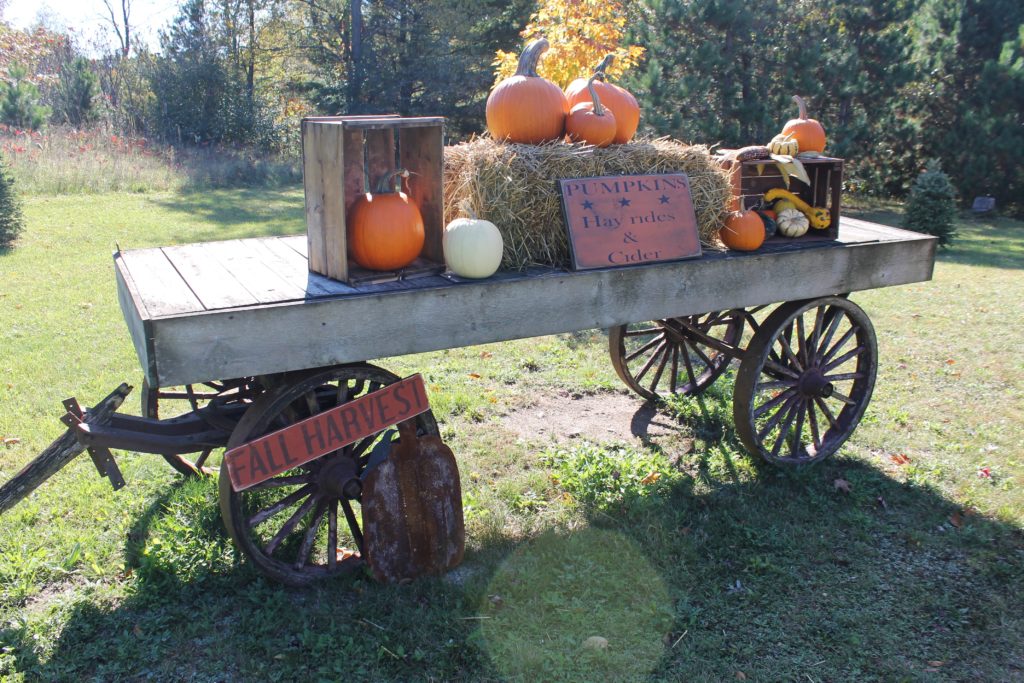 millers-wagon-full-of-pumpkins-and-crates