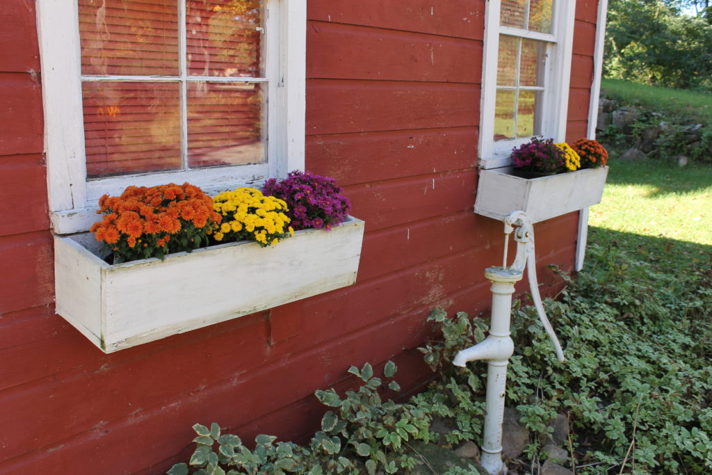 mums-in-barn-planter-crystal-river-bb