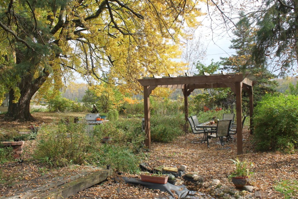 october-in-our-yard-pergola-2016