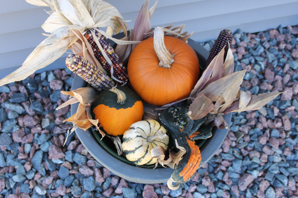 pumpkins-in-planter