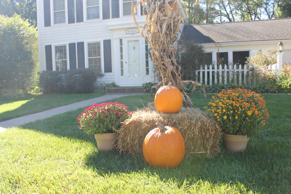 pumpkins-on-lawn-rural-home-tour-fall-2015