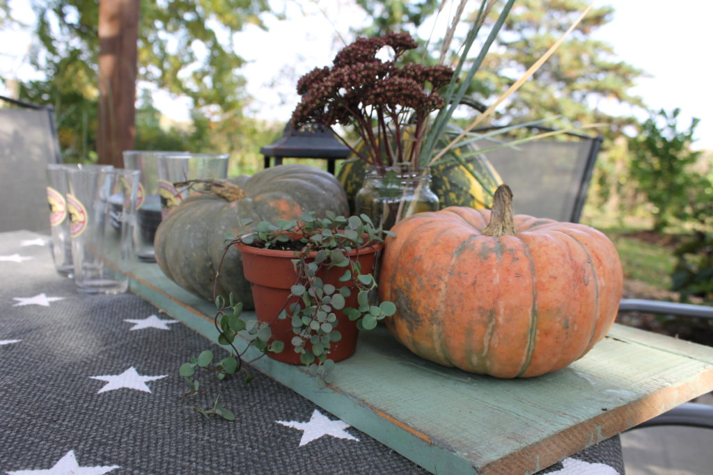 pumpkins-on-patio-table-with-blueberry-sedum-in-pot