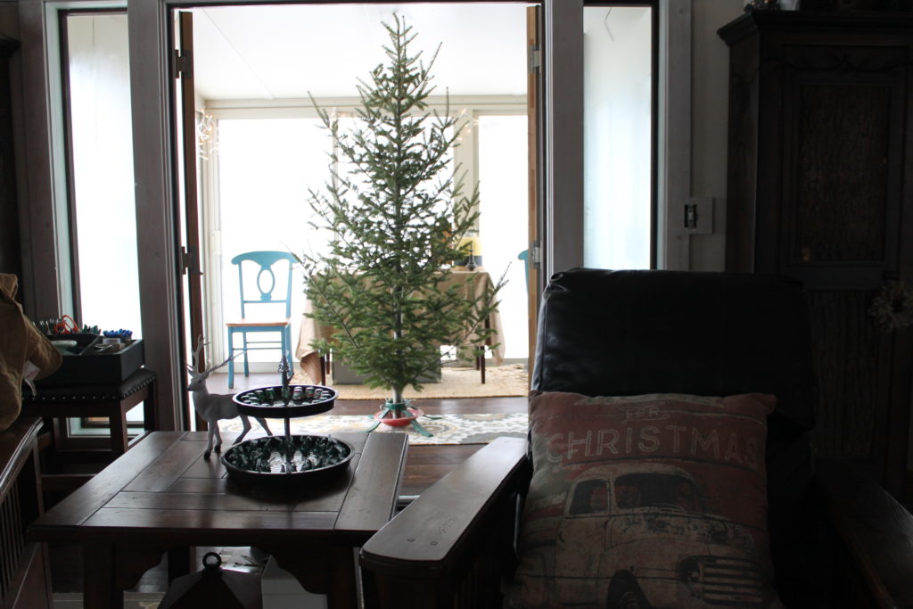 tree-for-my-sunroom